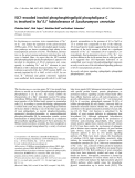 Báo cáo khoa học:  ISC1-encoded inositol phosphosphingolipid phospholipase C is involved in Na+/Li+ halotolerance of Saccharomyces cerevisiae