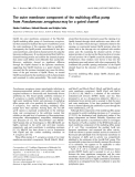 Báo cáo khoa học:  The outer membrane component of the multidrug efﬂux pump from Pseudomonas aeruginosa may be a gated channel