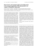 Báo cáo khoa học:  Role of the N- and C-terminal regions of the PufX protein in the structural organization of the photosynthetic core complex of Rhodobacter sphaeroides