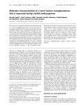 Báo cáo khoa học: Molecular characterization of a novel nuclear transglutaminase that is expressed during starﬁsh embryogenesis