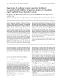 Báo cáo khoa học: Suppression of urokinase receptor expression by bikunin is associated with inhibition of upstream targets of extracellular signal-regulated kinase-dependent cascade