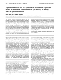 Báo cáo khoa học:  A point mutation in the ATP synthase of Rhodobacter capsulatus results in differential contributions of DpH and Du in driving the ATP synthesis reaction