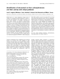 Báo cáo khoa học: Identiﬁcation of microsomal rat liver carboxylesterases and their activity with retinyl palmitate