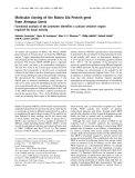 Báo cáo khoa học:  Molecular cloning of the Matrix Gla Protein gene from Xenopus laevis Functional analysis of the promoter identiﬁes a calcium sensitive region required for basal activity