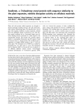 Báo cáo khoa học:  Swollenin, a Trichoderma reesei protein with sequence similarity to the plant expansins, exhibits disruption activity on cellulosic materials