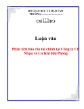 Luận văn: Phân tích báo cáo tài chính tại Công ty CP Nhựa và Cơ Khí Hải Phòng