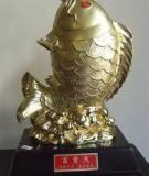 Sự Nguy Hiểm Của Việc Dùng Các Dụng Cụ Phong Thuỷ Không Đúng Cách