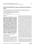 Molecular identification of mango malformation pathogens in Egypt