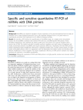 Specific and sensitive quantitative RT-PCR of miRNAs with DNA primers