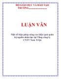  LUẬN VĂN: Một số biện pháp nâng cao hiệu quả quản trị nguồn nhân lực tại Tổng công ty CNTT Nam Triệu
