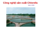 Công nghệ sản xuất Chlorella