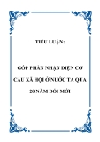 TIỂU LUẬN:  GÓP PHẦN NHẬN DIỆN CƠ CẤU XÃ HỘI Ở NƯỚC TA QUA 20 NĂM ĐỔI MỚI