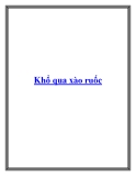 Khổ qua xào ruốc