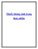 Thuốc kháng sinh trong thực phẩm