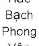 Hắc Bạch Phong Vân