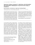 Báo cáo Y học: Expression of glucose transporter-2, glucokinase and mitochondrial glycerolphosphate dehydrogenase in pancreatic islets during rat ontogenesis