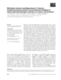 Báo cáo Y học: Matrilysin (matrix metalloprotease-7) cleaves membrane-bound annexin II and enhances binding of tissue-type plasminogen activator to cancer cell surfaces