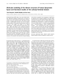 Báo cáo Y học: Molecular modeling of the dimeric structure of human lipoprotein lipase and functional studies of the carboxyl-terminal domain