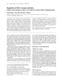Báo cáo Y học:  Regulation of RAS in human platelets Evidence that activation of RAS is not sufﬁcient to lead to ERK1-2 phosphorylation