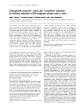 Báo cáo Y học:  Early growth response-1 gene (Egr-1 ) promoter induction by ionizing radiation in U87 malignant glioma cells in vitro