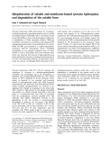 Báo cáo Y học: Ubiquitination of soluble and membrane-bound tyrosine hydroxylase and degradation of the soluble form