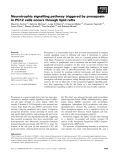 Báo cáo Y học: Neurotrophic signalling pathway triggered by prosaposin in PC12 cells occurs through lipid rafts