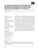 Báo cáo Y học: A comparative biochemical and structural analysis of the intracellular chorismate mutase (Rv0948c) from Mycobacterium tuberculosis H37Rv and the secreted chorismate mutase (y2828) from Yersinia pestis