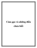 Cám gạo và những điều chưa biết