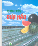 Kinh nghiệm trồng dưa hấu