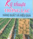 Hướng dẫn trồng lạc năng suất và hiệu quả