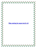 Mực nướng bơ ngon tuyệt vời