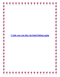 Canh cua rau đay ăn hoài không ngán