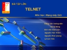 BÀI TẬP LỚN:  TELNET