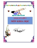 GIÁO ÁN LỚP 5 MÔN KHOA HỌC