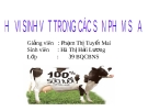 HỆ VI SINH VẬT TRONG CÁC SẢN PHẨM SỮA