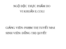 NGỘ ĐỘC THỰC PHẨM DO VI KHUẨN E.COLI