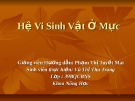 Hệ Vi Sinh Vật Ở Mực