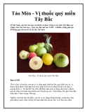 Táo Mèo - Vị thuốc quý miền Tây Bắc