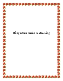 Bỗng nhiên muốn ra đảo sống