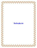 Tuyển gấp vào