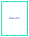 Chuyện các chú cẩu