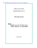 Tiểu luận đề tài Nghề luật sư ở Việt Nam - Thực trạng và giải pháp