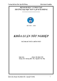 Luận văn kế toán đề tài :  Hoàn thiện tổ chức công tác kế toán Doanh thu, chi phí & xác định kết quả kinh doanh tại Công ty TNHH Thƣơng Mại & Dịch vụ Toàn Tâm