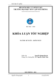 Luận  văn:Hoàn thiện công tác tổ chức kế toán nguyên liệu, vật liệu tại Công ty Cổ phần Việt Thịnh