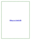 Đồng xu ở dưới đất