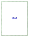 Kỹ tính