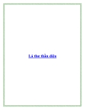 Lá thư thần diệu