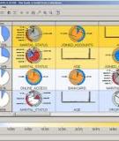 Tích hợp khai phá dữ liệu trong InfoSphere Warehouse với việc tạo báo cáo Cognos của IBM Phần 4: Phân đoạn khách hàng với InfoSphere Warehouse và Cognos