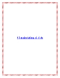 Về muộn không có lý do