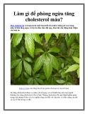 Làm gì để phòng ngừa tăng cholesterol máu?